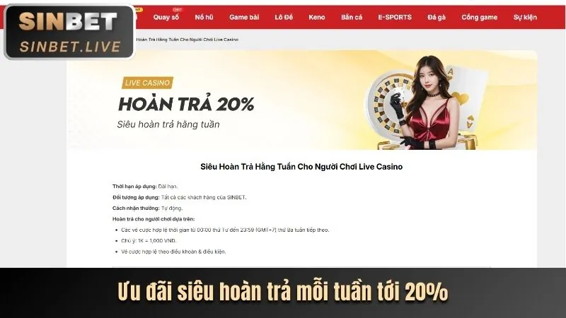 Cập nhật cá cược thể thao mùa giải mới tại thomo68
